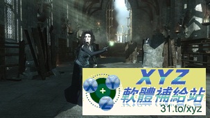 哈利波特 死神的聖物 下集 Harry Potter and the Deathly Hallows Part 2 PAL WII(歐版)(DVD版)